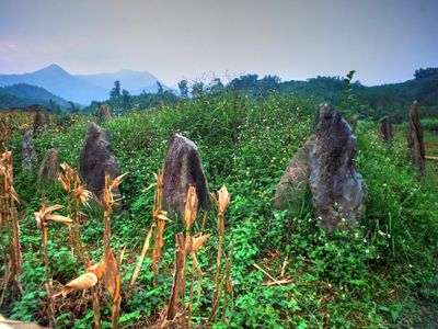 khu mo co dong thech kim boi hoa binh