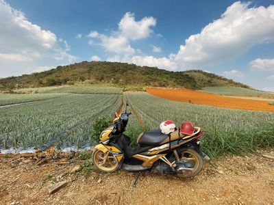 doi dua tam diep ninh binh