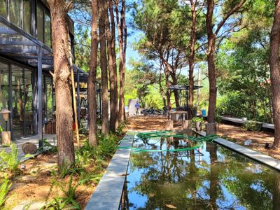 duong xi mini nha ben rung u lesa homestay soc son ha noi