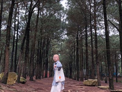 khu du lich thien phu lam soc son
