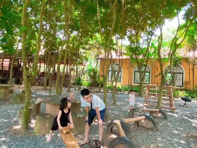 hoat dong tai wehome rung sua soc son ha noi