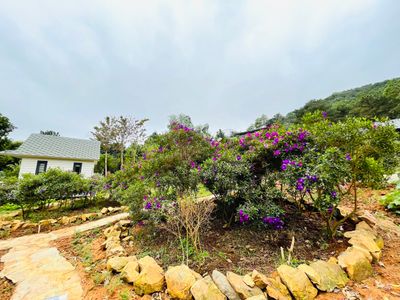 bungalow eagle villa soc son