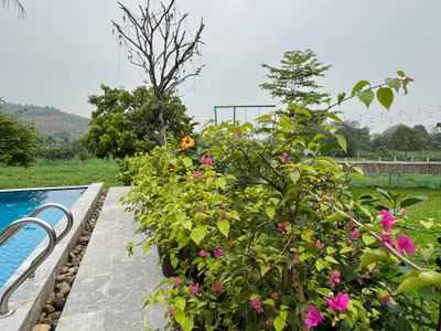 justfly the memory villa ba vi