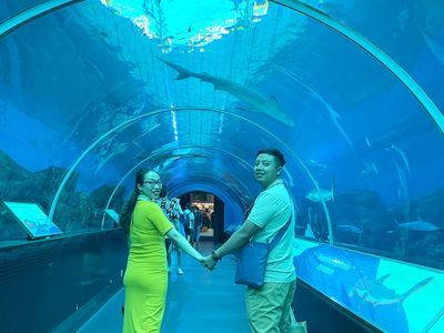 justfly sea aquarium singapore