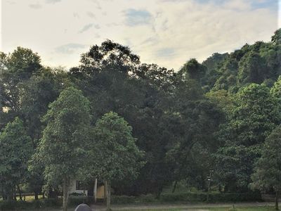 justfly cuc phuong nation park ninh binh