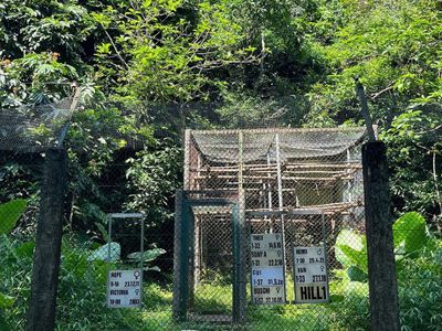 justfly cuc phuong nation park ninh binh