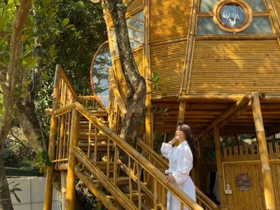 justfly trang an lamia bungalow bamboo treehouse ninh binh 