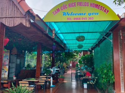 justfly tam coc rice fields homestay ninh binh