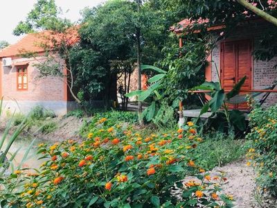 phong gia dinh view nui trang an lotus lake homestay ninh binh