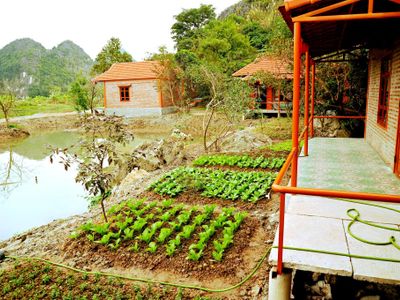 phong gia dinh view vuon trang an lotus lake homestay ninh binh