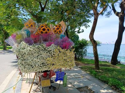 ho tay tay ho dia diem du lich ha noi atthan07