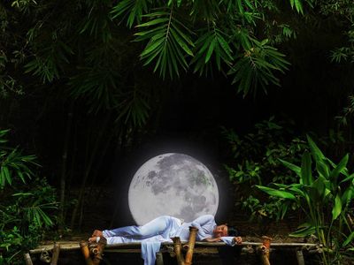 son tra tinh vien dia diem du lich da nang attdad40