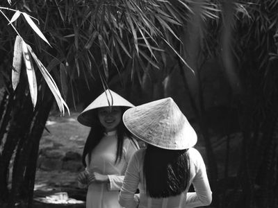 son tra tinh vien dia diem du lich da nang attdad40