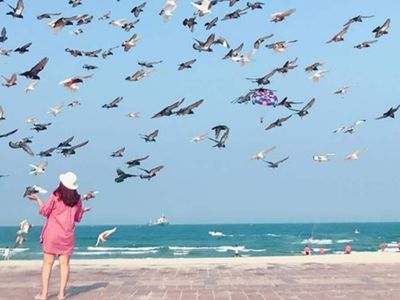 cong vien bien dong dia diem du lich da nang attdad29