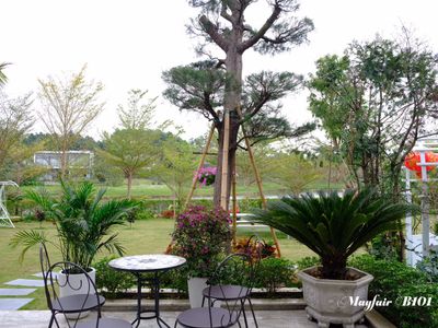 justfly b101 flamingo dai lai