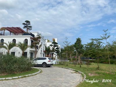 justfly b101 flamingo dai lai