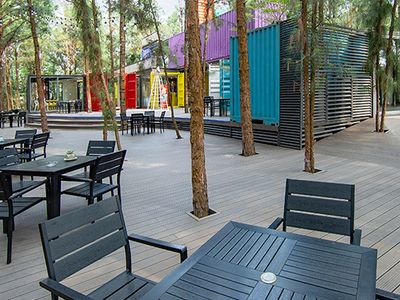 container bar flamingo dai lai vinh phuc 