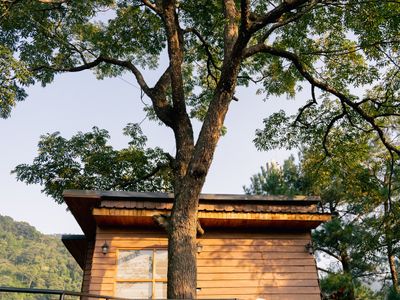 tree-house-chillout-village-tam-dao