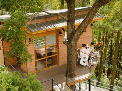 tree house chillout village tam dao