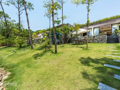 justfly c11 villa flamingo dai lai