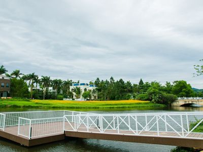 t101-flamingo-dai-lai