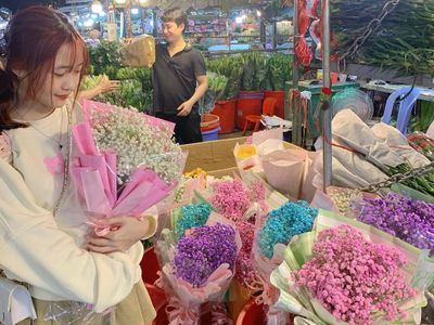 justfly cho hoa quang ba hanoi