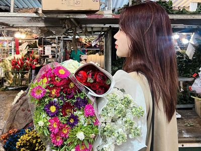 justfly cho hoa quang ba hanoi