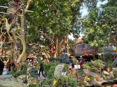 justfly chua van nien hanoi