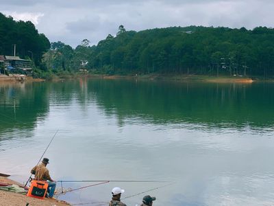 justfly ho tuyen lam da lat 