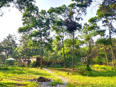 justfly mei homestay soc son