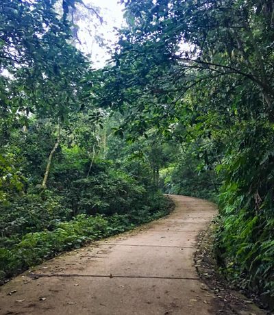 vuon quoc gia ba vi ha noi