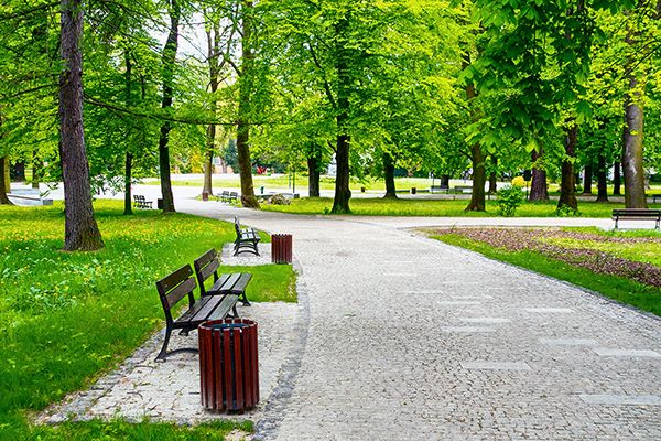 Hướng dẫn dã ngoại công viên Yên Sở trong 1 ngày