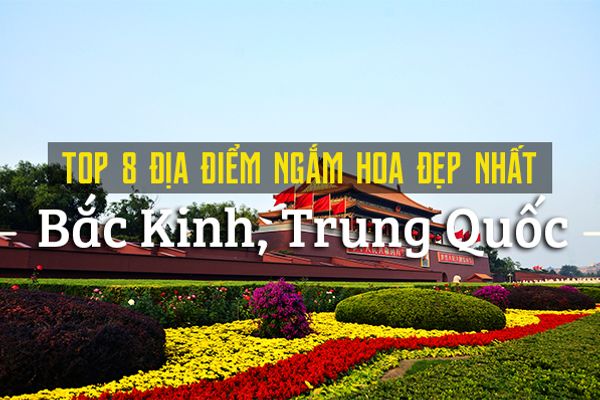 Top 8 địa điểm ngắm hoa đẹp nhất Bắc Kinh, Trung Quốc