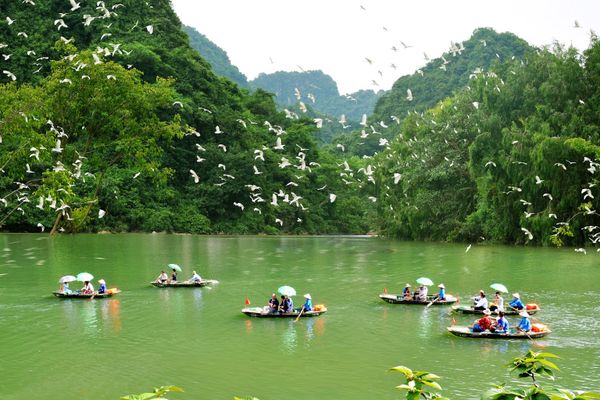 vuon chim thung nham trang an ninh binh