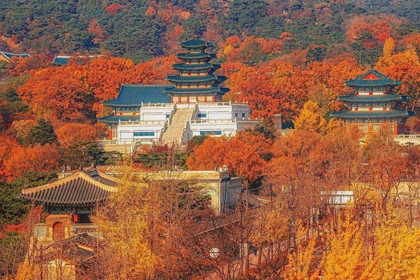 justfly bao tang dan gian quoc gia seoul han quoc