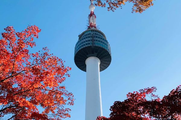 justfly n seoul tower han quoc