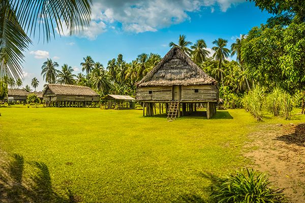 Khám phá làng du lịch Tre Việt, Sài Gòn: hướng dẫn tham quan A - Z