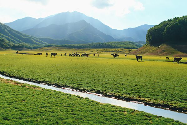 Hồ Hòa Trung - Điểm đến cuối tuần tại Đà Nẵng