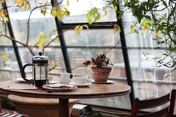 Top 4 quán cafe vườn xinh, yên tĩnh tại Đà Nẵng