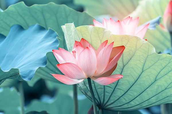 Kinh nghiệm du lịch Đầm Long chi tiết từ A đến Z
