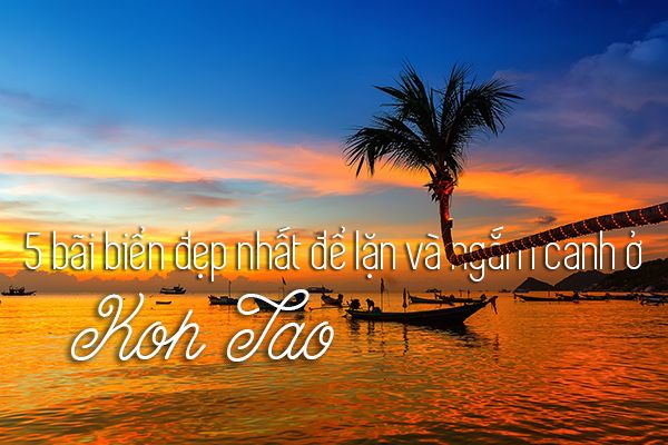 5 bãi biển đẹp nhất để lặn ngắm cảnh ở Koh Tao, Thái Lan