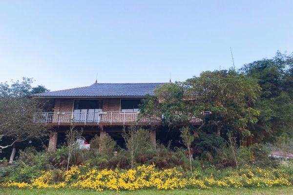 Bin’s House - Không gian thiên nhiên trong lành bình yên