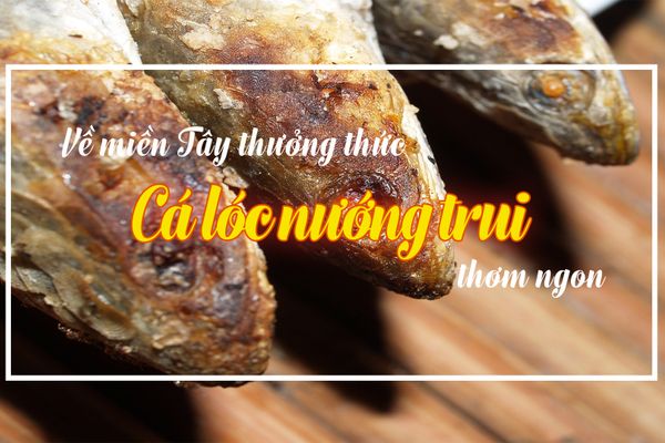 Về miền Tây thưởng thức cá lóc nướng trui thơm ngon