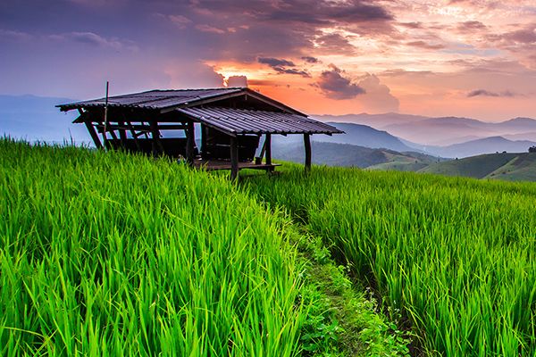 Top 11 địa điểm du lịch ở miền Bắc Thái Lan