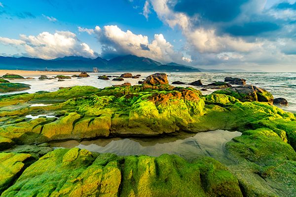 Rạn Nam Ô và hành trình khám phá vẻ đẹp hoang sơ Đà Nẵng