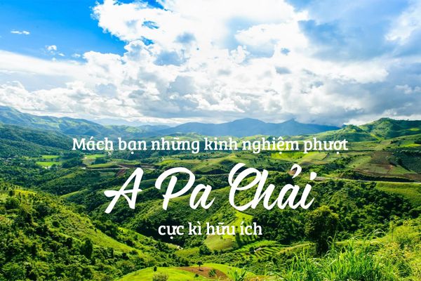 Kinh nghiệm phượt A Pa Chải từ A đến Z cực kì hữu ích