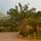 Giáp thị ngọc châm