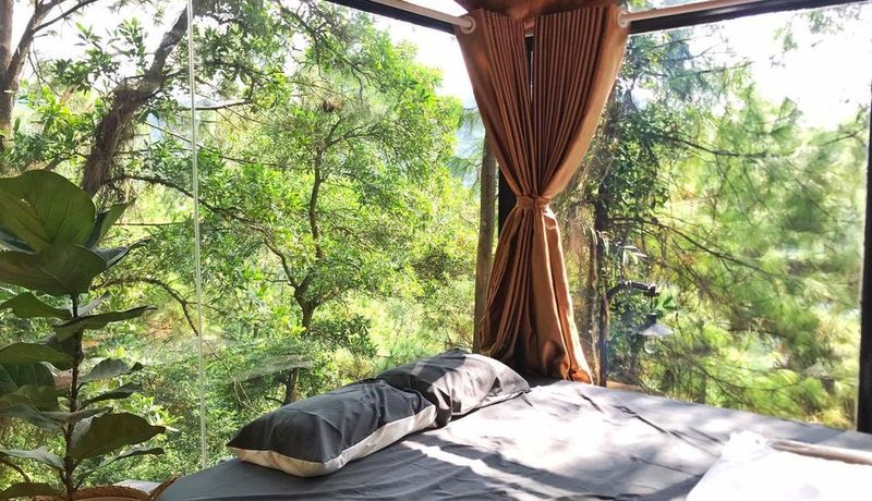 Phong-ngu-nha-go-rung-thong-debay-villa-homestay-soc-son-ha-noi 01