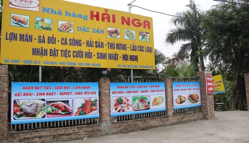 nha hang hai nga soc son