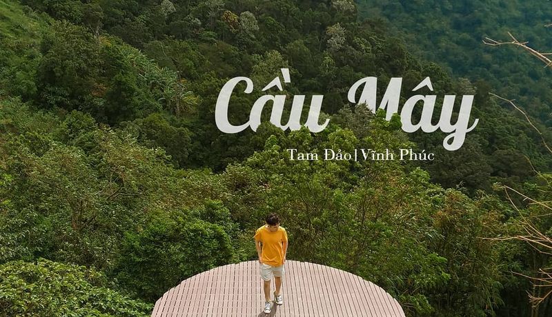 cau may tam dao vinh phuc